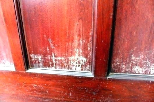 White mold on furniture
