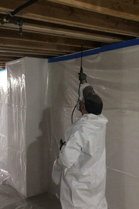 Professional white mold removal