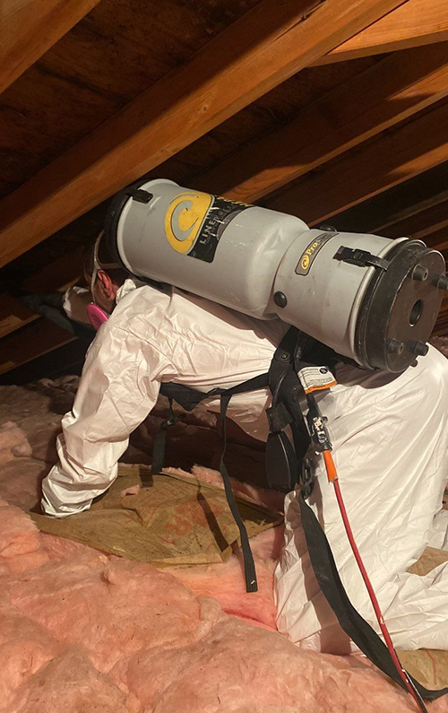 White mold growth on a basement wall
