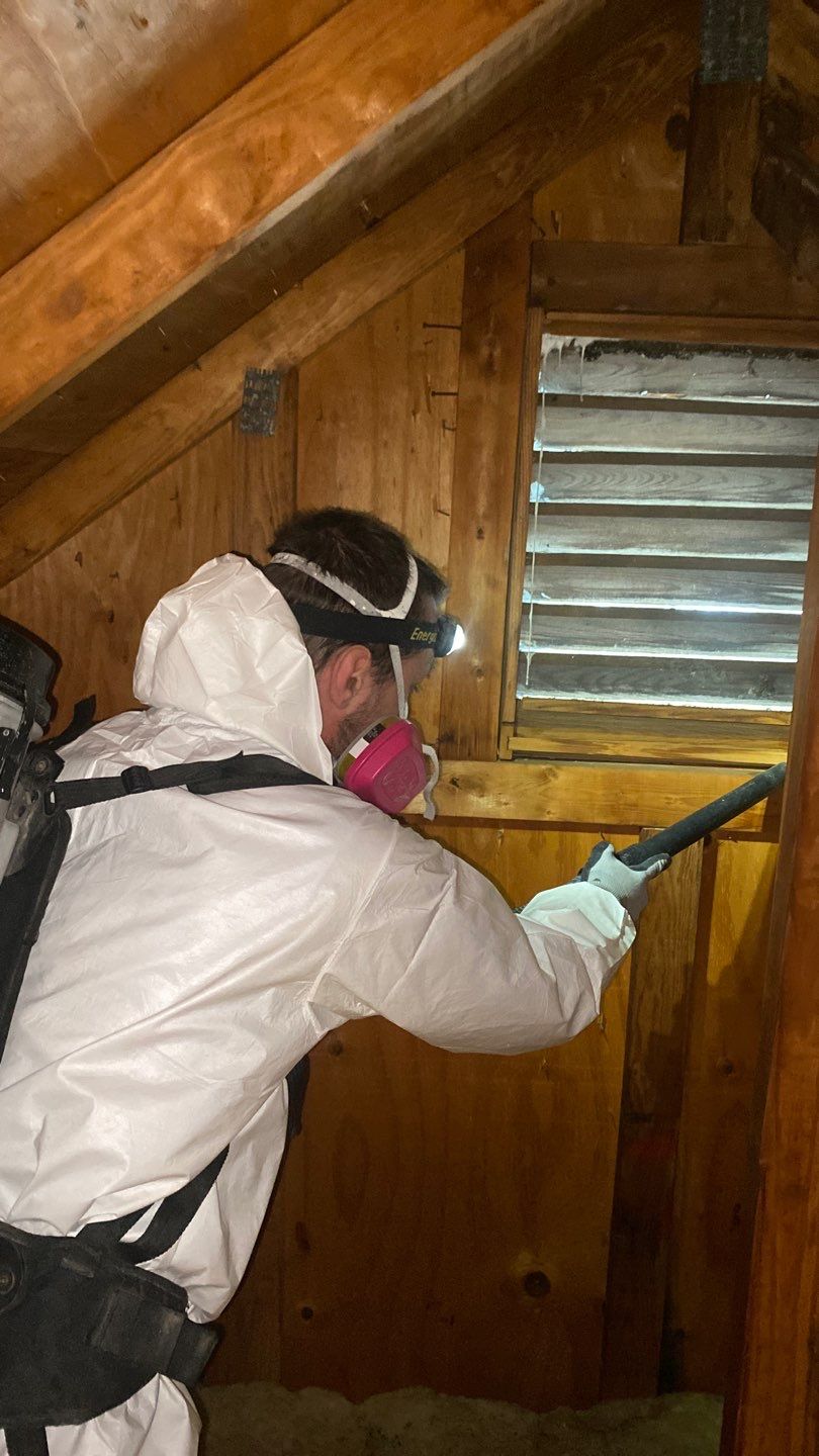 Mold Remediation