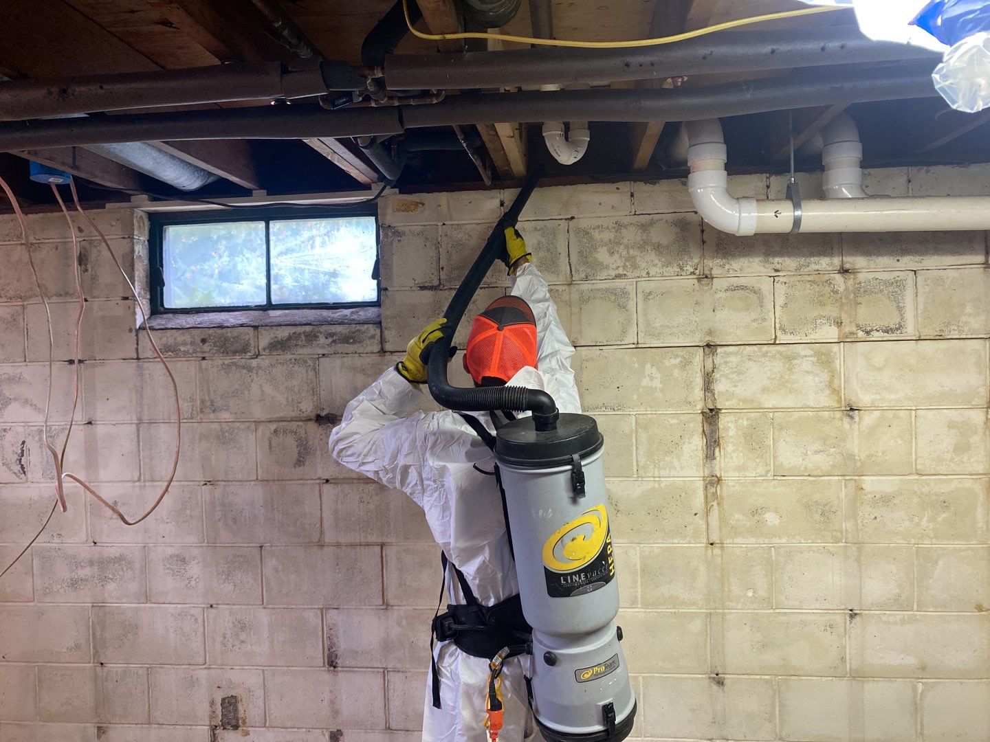 Professional mold remediation technician working in a property