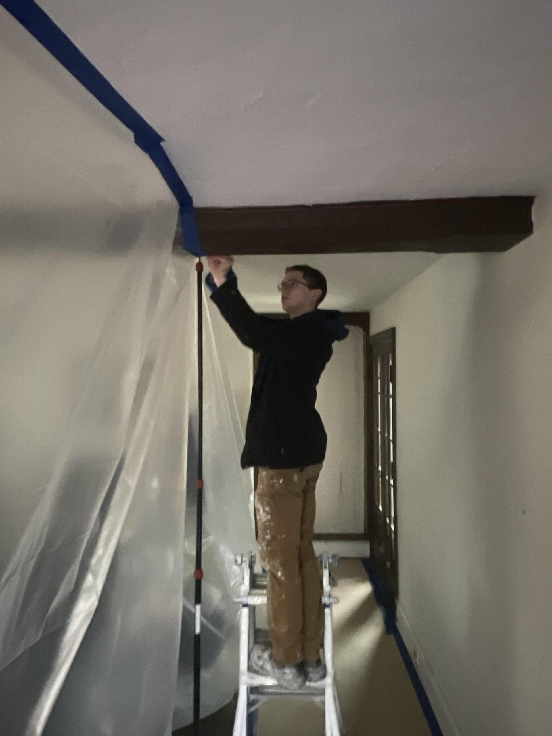 Commercial mold remediation with containment barriers