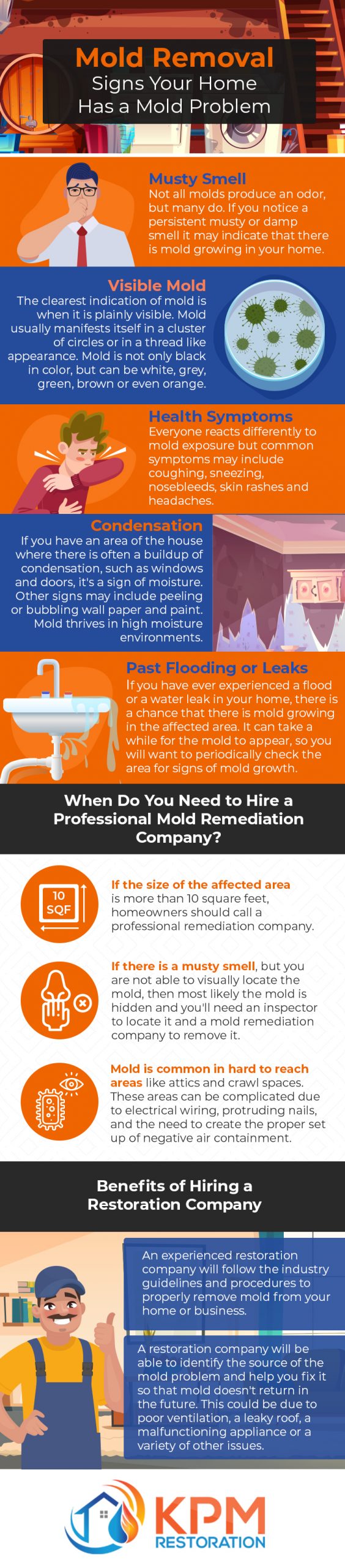 Do I Need Professional Mold Remediation? - KPM Restoration