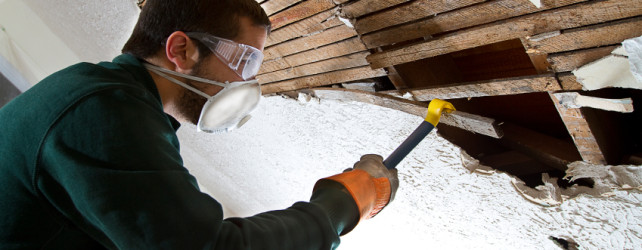 attic mold removal